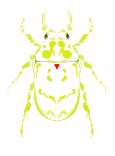 beetle one
